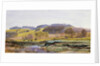 Springtime near Marden, Surrey, England by John Brett
