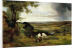 Resting by Edward Brooke