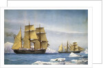 H.M.S. Alert and Discovery on the Arctic Expedition of 1865-1866 by William Frederick Mitchell