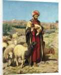 A Shepherd of Jerusalem by William J. Webbe