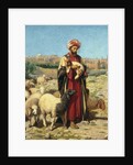 A Shepherd of Jerusalem by William J. Webbe