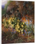Spring Flowers on a Mossy Bank by Charles Archer