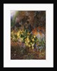 Spring Flowers on a Mossy Bank by Charles Archer