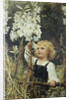 Lilies by Frederick Morgan