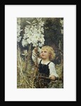 Lilies by Frederick Morgan