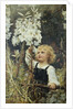 Lilies by Frederick Morgan