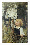 Lilies by Frederick Morgan