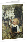 Lilies by Frederick Morgan
