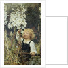 Lilies by Frederick Morgan