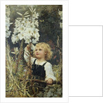 Lilies by Frederick Morgan