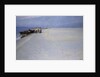 Fishermen on the Beach at Skagen, Denmark by Peder Severin Kroyer