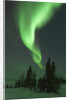 Aurora Borealis in Canada's Wapusk National Park by Anonymous