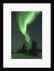Aurora Borealis in Canada's Wapusk National Park by Anonymous
