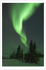 Aurora Borealis in Canada's Wapusk National Park by Anonymous