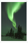 Aurora Borealis in Canada's Wapusk National Park by Anonymous