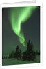 Aurora Borealis in Canada's Wapusk National Park by Anonymous