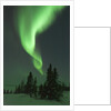 Aurora Borealis in Canada's Wapusk National Park by Anonymous