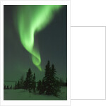 Aurora Borealis in Canada's Wapusk National Park by Anonymous