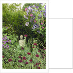 Small Statue in a Back Garden by Anonymous