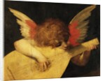 Musical Angel by Rosso Fiorentino