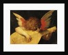Musical Angel by Rosso Fiorentino