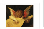 Musical Angel by Rosso Fiorentino