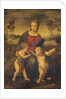 Madonna of the Goldfinch by Raphael