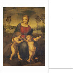 Madonna of the Goldfinch by Raphael