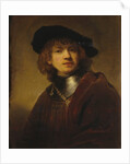 Self-Portrait as a Young Man by Rembrandt van Rijn
