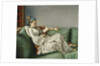 Portrait of Marie Adelaide of France by Jean-Etienne Liotard