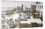 Chicago's Lincoln Park by Mark McMahon