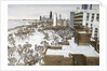 Chicago's Lincoln Park by Mark McMahon