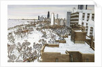 Chicago's Lincoln Park by Mark McMahon
