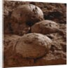 Dinosaur Eggs by Anonymous
