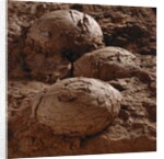 Dinosaur Eggs by Anonymous