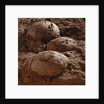 Dinosaur Eggs by Anonymous