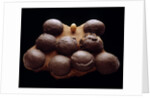 Chicken Egg and Dinosaur Eggs by Anonymous