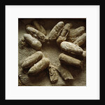 Clutch of Dinosaur Eggs by Anonymous