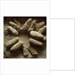 Clutch of Dinosaur Eggs by Anonymous