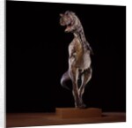 Sculpture of Carnotaurus by Anonymous