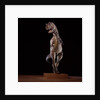 Sculpture of Carnotaurus by Anonymous