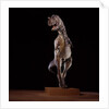 Sculpture of Carnotaurus by Anonymous