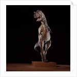 Sculpture of Carnotaurus by Anonymous