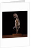 Sculpture of Carnotaurus by Anonymous