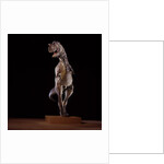 Sculpture of Carnotaurus by Anonymous