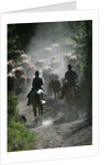 Driving Cattle at Bar Cross Ranch by Anonymous