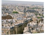 Paris as Seen from Notre Dame by Anonymous