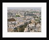 Paris as Seen from Notre Dame by Anonymous