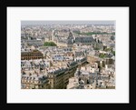 Paris as Seen from Notre Dame by Anonymous