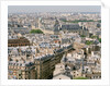 Paris as Seen from Notre Dame by Anonymous